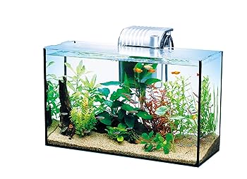Amazon | テトラ (Tetra) ガラス 水槽 オールグラスアクアリウム